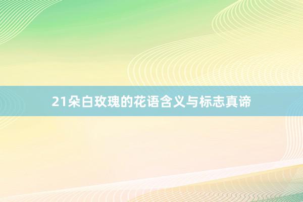 21朵白玫瑰的花语含义与标志真谛