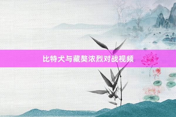 比特犬与藏獒浓烈对战视频
